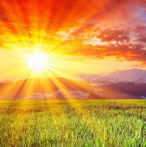 Meet your Posher, Aj